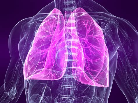 lungentransplantationen zur ersetzung einer kranken lunge