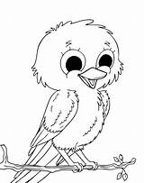 Coloring Bird Pages Cute Kids Drawing Birds Robin Baby Owl Colouring Cartoon Canary Little Color Printable Easy American Red Clipart sketch template