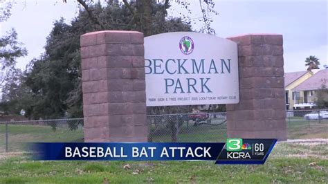teen accused of attacking woman with baseball bat will be charged as adult