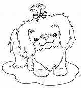 Tzu Shih Coloring Cute Pages Dog Puppy Digi Sliekje Stamps Colouring Drawing Color Print Tekenen Bow Hallo Allemaal Getcolorings Katten sketch template