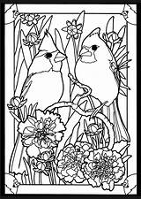 Coloring Pages Birds Cardinal Glass Adult Stained Bird Cardinals Book Printable Color Beautiful Dover Adults Para Colorear Pairs Patterns Publications sketch template