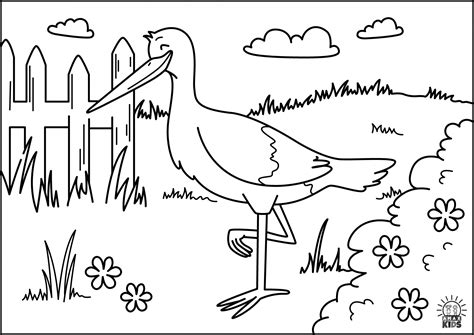 printable spring coloring pages  kids amax kids