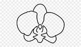 Orchid Pinclipart sketch template