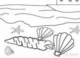 Coloring Pages Seashell Cool2bkids Printable sketch template