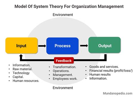 systems theory  management organizations mundanopedia