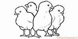 Colorare Pulcini Pianetabambini Disegno Pasqua Disegnare Uccelli Raccolta Tenerissimi Tante Miriade Preparatevi Invasione sketch template