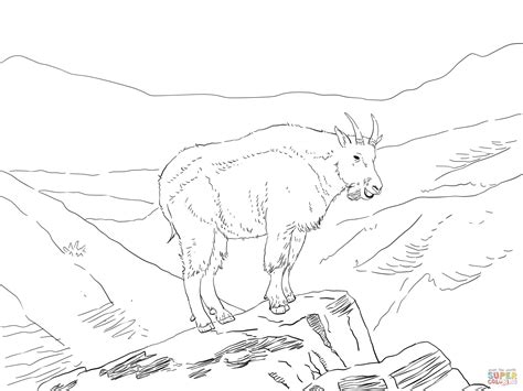 north america mountain goat coloring page  printable coloring pages