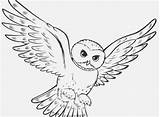 Owl Coloring Getdrawings Barn sketch template
