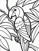 Coloring Pages Color Colouring Print Printable Kids Printables Parrot Ausmalen Books Gif Now Toddler Different Adults sketch template
