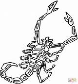 Scorpion Coloring Pages Scorpions Printable Animals Color Drawing Cartoon Preschool Supercoloring Gif Kids Silhouettes Getdrawings sketch template