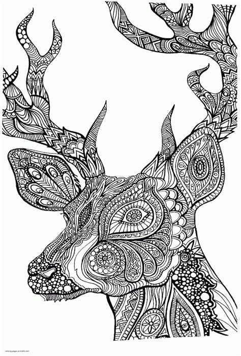 adult coloring pages animals deer