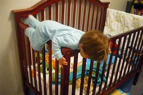 daring babies escaping  cribs