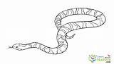 Snake Coloring Pages Snakes Color sketch template