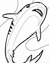 Megalodon Coloring Pages Getcolorings Printable Shark sketch template