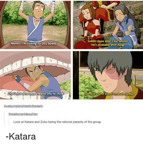 funny sokka memes of 2016 on sizzle bad