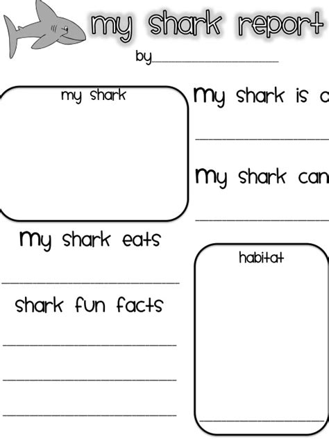 printable shark worksheets  kindergarten worksheetocom