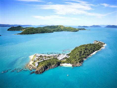 daydream island resort affordable holidays