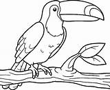 Toucan Tukan Oiseau Amerique Tucano Desenho Kolorowanki Dzieci Tucan Mosaico Selvagens Acessar Artsy Fartsy sketch template