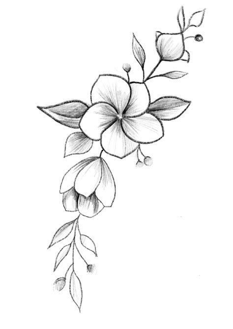pin  rona  handmade   flower sketches flower art drawing