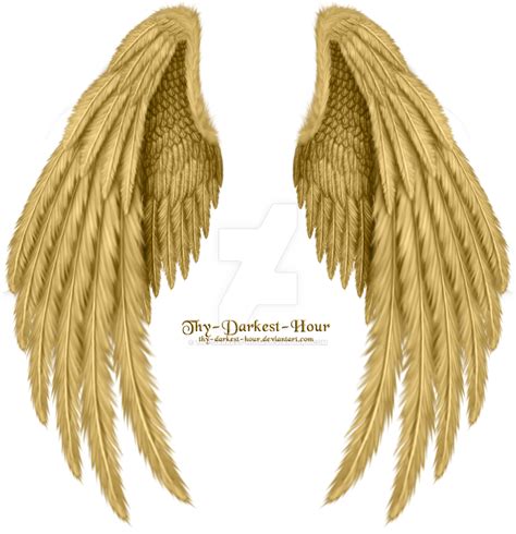 angel wings art angel wings tattoo wing tattoo bird wings angel art