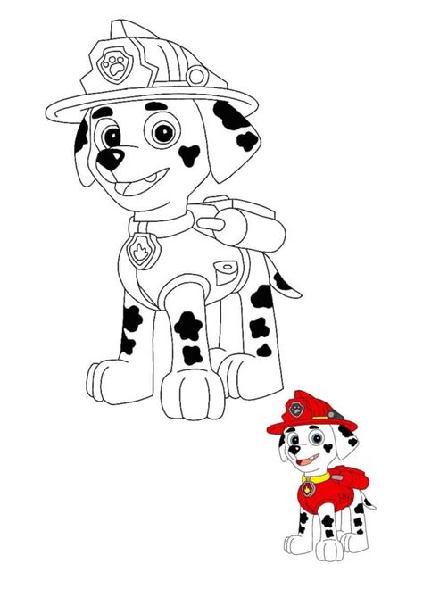 paw patrol marshall coloring pages   printable coloring sheets
