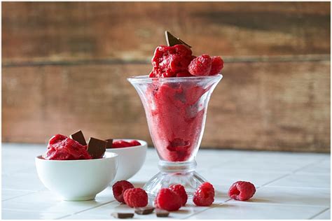 raspberry sorbet recipe  ice cream maker  earthling life