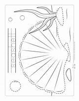 Tracing Ocean Animals Worksheets Seashell Worksheet Pages Itsybitsyfun sketch template