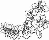 Coloring Hawaiian Hibiscus sketch template