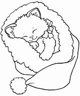 Pages Kitten Coloring Cute Color Getcolorings Printable sketch template