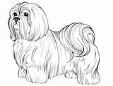 Dog Coloring Hard Pages Getdrawings sketch template