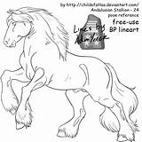 Horse Clydesdale Lineart Drawing Horses Drawings Pages Pferd Use Quilt Coloring Tinker Head Google Pferde Gypsy Color Deviantart Search 3d sketch template