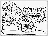 Tiger Coloring Pages Baby Printable Template Drawing Cub Tigers Colouring Cartoon Lsu Templates Preschool Print Wolf Head Leopard Daniel Shape sketch template