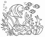 Coral Arrecifes Reefs Niños Coloringpagesfortoddlers sketch template