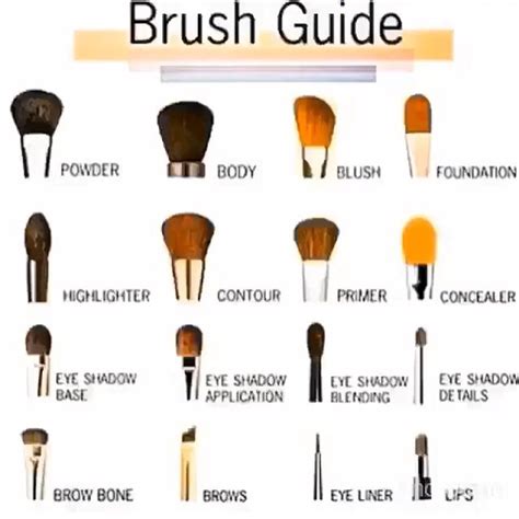 make up brush chart makeup brushes guide eye makeup