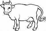 Belajar Sapi Vacas Mewarnai Sketsa Lembu Kolase Hewan Tk Vaches Vaca Mewarna Vache Ganado Membuat Warnaigambartk Bovinos Kanak Vacuno Cows sketch template