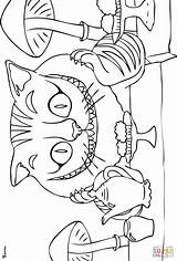 Cheshire Tim Wunderland Grinsekatze Supercoloring Gato Sonriente Malvorlagen Merveilles Template Imprimer sketch template