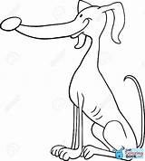 Perro Galgo Greyhound Coloring Perros Windhond Colorare Corriendo Levriero Hond Funny Boek Justcoloringbook Izakowski sketch template
