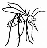 Mosquito Komar Kolorowanki Dzieci Dla Mosquitos Bestcoloringpagesforkids Wydruku sketch template