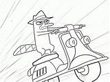 Perry Platypus Coloring Pages Ferb Phineas Kids Print Scooter Printable Color Colouring Disney Clipart Vespa Riding Driving Cartoon Coloringpagesfortoddlers Amp sketch template