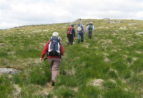 walking  dartmoor   walking routes  dartmoor countryside