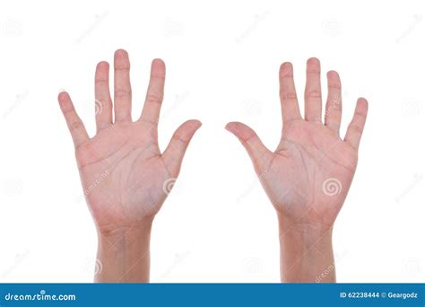 hands show  number ten stock photo image  symbol