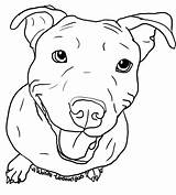 Pitbull Dog Drawing Pit Clipart Bull Stencil Clip Puppy Face Silhouette Outline Coloring Ink Transparent Easy Pages Line Getdrawings Hdimagelib sketch template