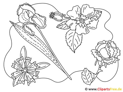 naturbilder zum ausmalen