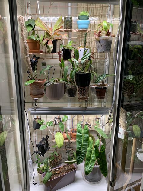 ikea greenhouse cabinet build thoughts carnivorous plant society