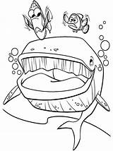 Nemo Coloring Finding Pages Marlin Dory Whale Bruce Mouth Crush Color Getcolorings Printable Meet Queens Library Unique Clip Comments Getdrawings sketch template