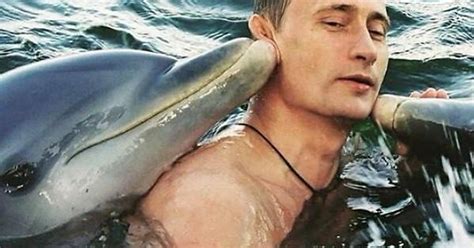 Even Dolphins Love Putin Album On Imgur