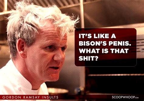 15 creative gordon ramsay insults that will burn you more