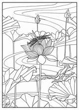 Coloring Pages Lotus Flowers Adult Adults Color Mizu Kids Floral Printable Vegetation Print Beautiful Exclusive Scene Nggallery Justcolor Fleurs Et sketch template