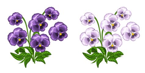 clipart violets   cliparts  images  clipground