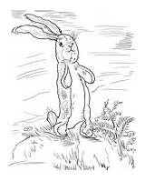 Velveteen Rabbit Coloring Printable sketch template